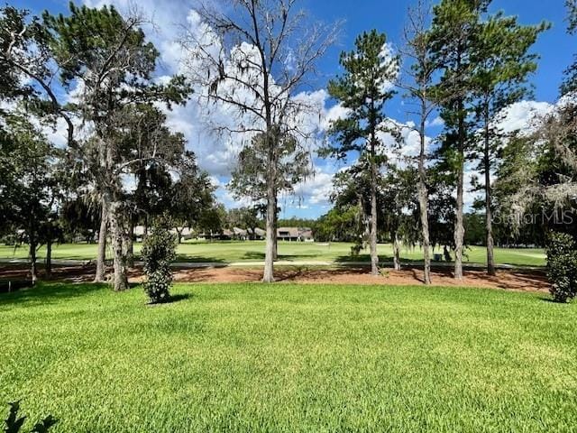 4799 Hickory Oak Loop, Brooksville, FL 34601 - view of grassy yard