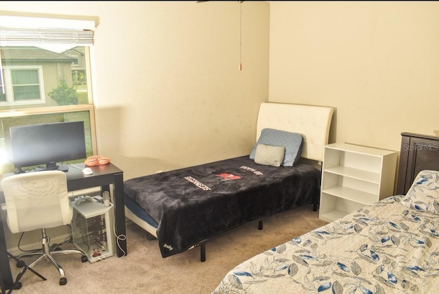 16623 Carlton Pond St, Wimauma, FL 33598 - bedroom with carpet floors