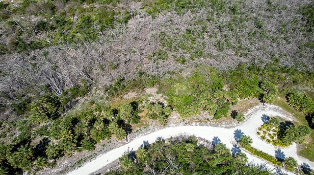 6030 Sabal Palm Dr, Lake Placid, FL 33852 - photo 3
