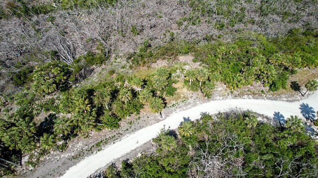 6030 Sabal Palm Dr, Lake Placid, FL 33852 - photo 4