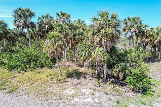 6030 Sabal Palm Dr, Lake Placid, FL 33852 - photo 7