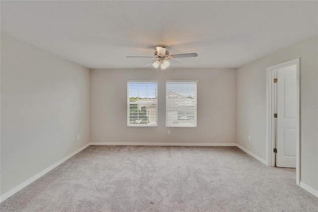 7325 Parkshore Dr, Apollo Beach, FL 33572 - photo 15