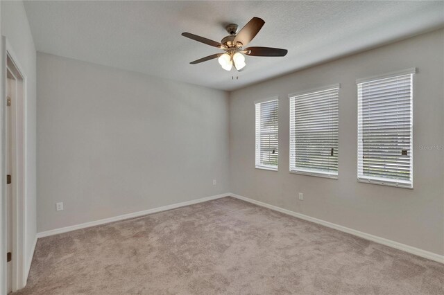 7325 Parkshore Dr, Apollo Beach, FL 33572 - photo 32