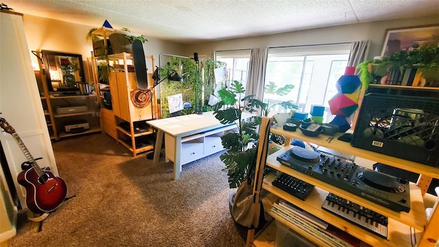 230 N Bayshore Blvd Unit 103, Clearwater, FL 33759 - view of carpeted office space