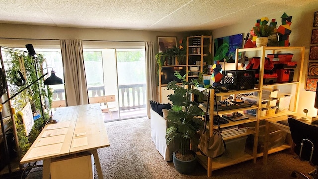 230 N Bayshore Blvd Unit 103, Clearwater, FL 33759 - office area with carpet and a textured ceiling