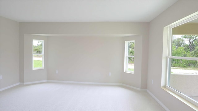 13098 Convent Garden Rd, Brooksville, FL 34614 - photo 14