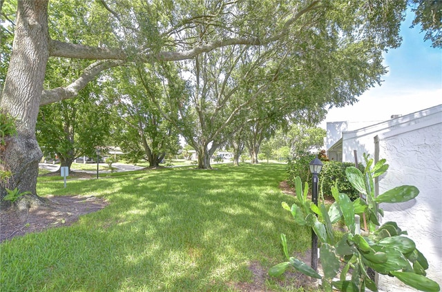 1655 S Highland Ave Unit B118, Clearwater, FL 33756 - view of green lawn
