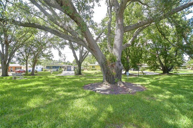 1655 S Highland Ave Unit B118, Clearwater, FL 33756 - view of grassy yard