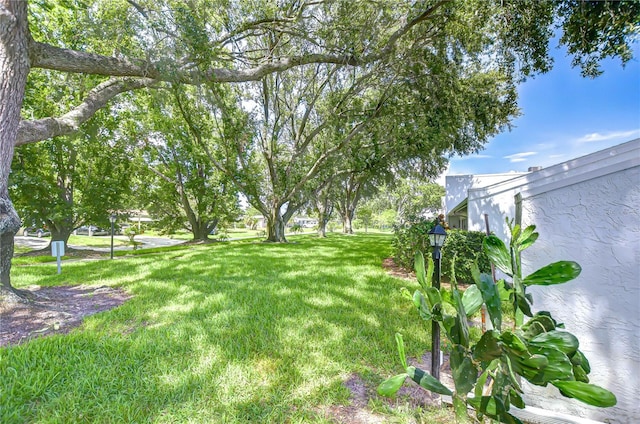1655 S Highland Ave Unit B118, Clearwater, FL 33756 - view of grassy yard