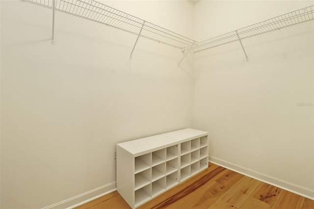 400 4th Ave S Unit 301, Saint Petersburg, FL 33701 - walk in closet with light wood finished floors