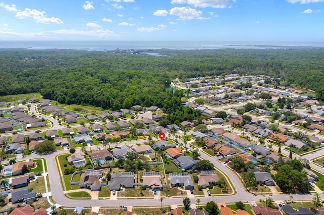 10228 Yellow Pine Way, Hudson, FL 34667 - aerial view of property and surrounding area with a forest and nearby suburban area