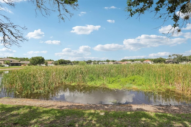 10435 Deerberry Dr, Land O Lakes, FL 34638
