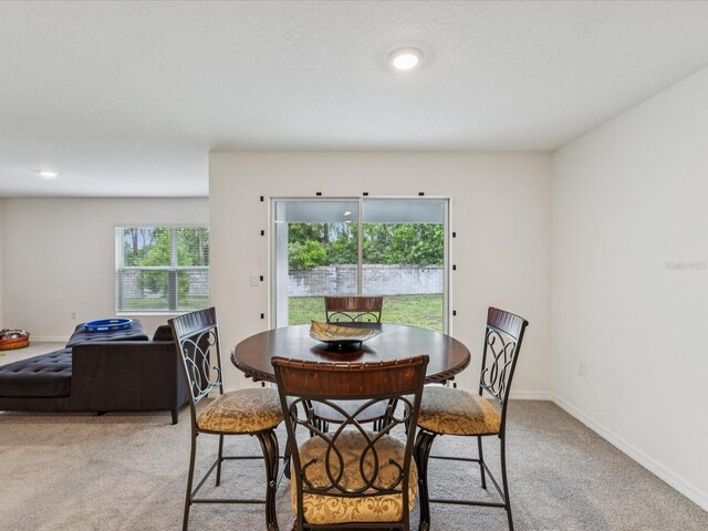 6043 Piedmont Dr, Spring Hill, FL 34606 - photo 12