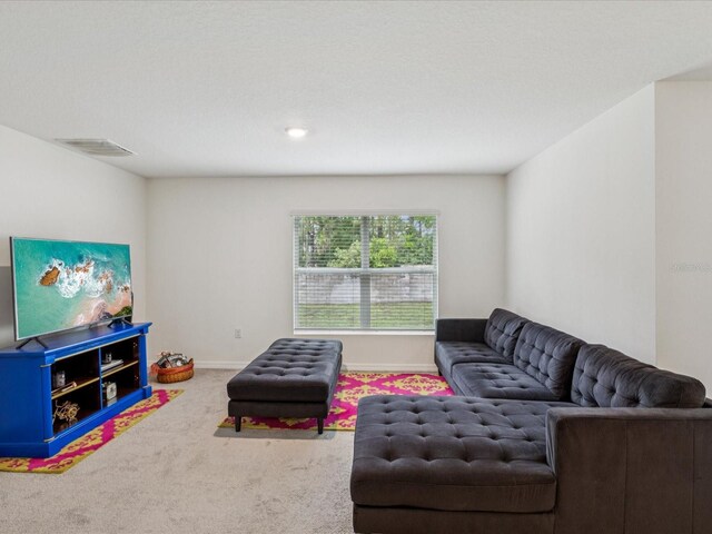 6043 Piedmont Dr, Spring Hill, FL 34606 - photo 13