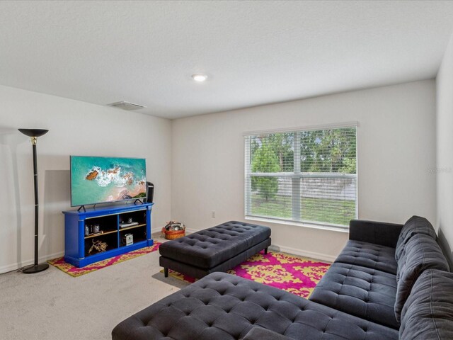 6043 Piedmont Dr, Spring Hill, FL 34606 - photo 14