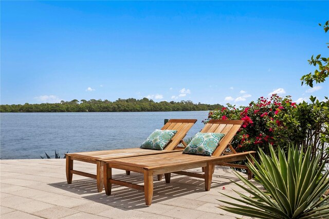 2279 Mermaid Pt NE, Saint Petersburg, FL 33703 - photo 46