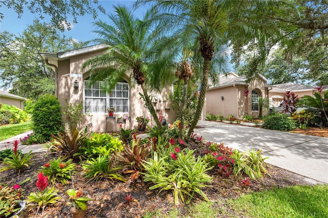 5143 Lochmead Ter, Zephyrhills, FL 33541 - mediterranean / spanish home featuring stucco siding and driveway