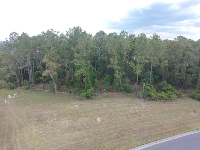 19897 Pinnacle Pl, Brooksville, FL 34601 - photo 3