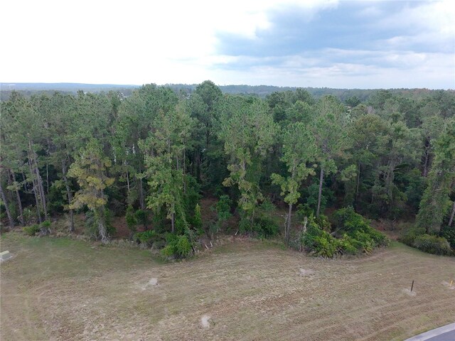 19897 Pinnacle Pl, Brooksville, FL 34601 - photo 4