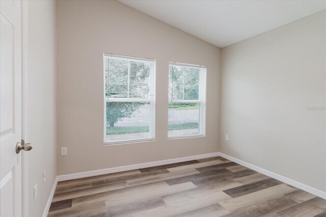 13016 Boggy Creek Dr, Riverview, FL 33579 - spare room with wood finished floors, vaulted ceiling, and baseboards