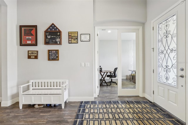 808 Vittorio Pl, Brandon, FL 33511 - foyer entrance featuring wood finished floors and baseboards