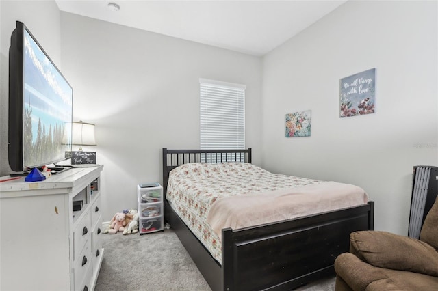 808 Vittorio Pl, Brandon, FL 33511 - bedroom with light carpet