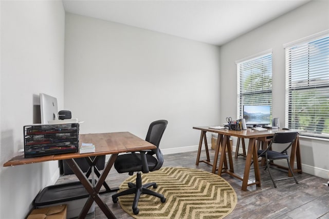 808 Vittorio Pl, Brandon, FL 33511 - home office with baseboards and wood finished floors