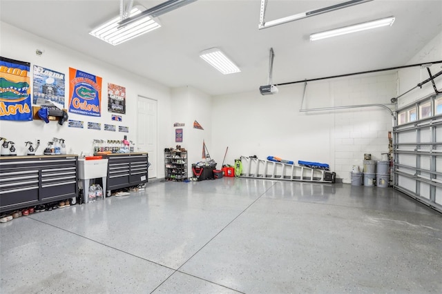 808 Vittorio Pl, Brandon, FL 33511 - garage with a garage door opener and a workshop area