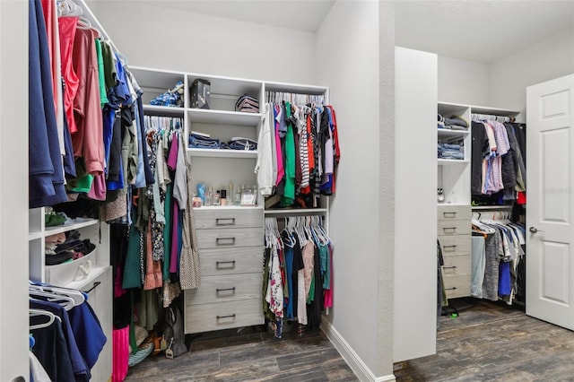 808 Vittorio Pl, Brandon, FL 33511 - walk in closet with wood finished floors