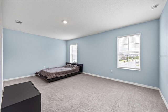 1680 Hazy Sea Dr, Plant City, FL 33565 - photo 25