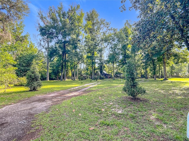 9240 Carolina Way, Fanning Springs, FL 32693 - photo 2