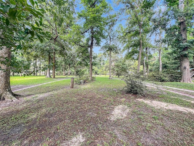 9240 Carolina Way, Fanning Springs, FL 32693 - photo 42
