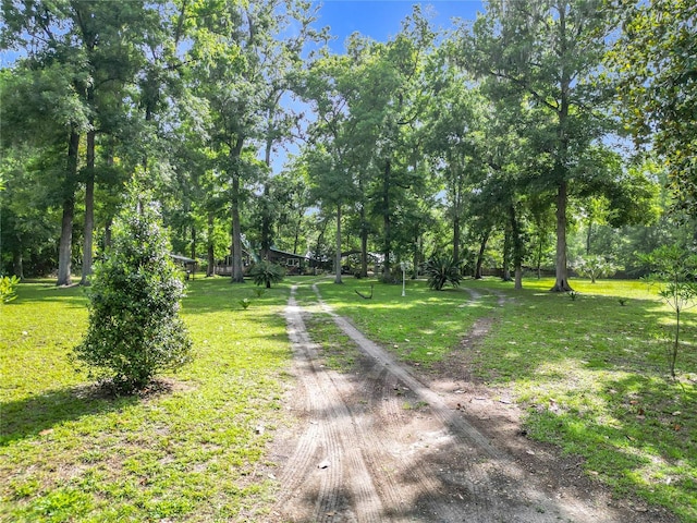 9240 Carolina Way, Fanning Springs, FL 32693 - photo 46