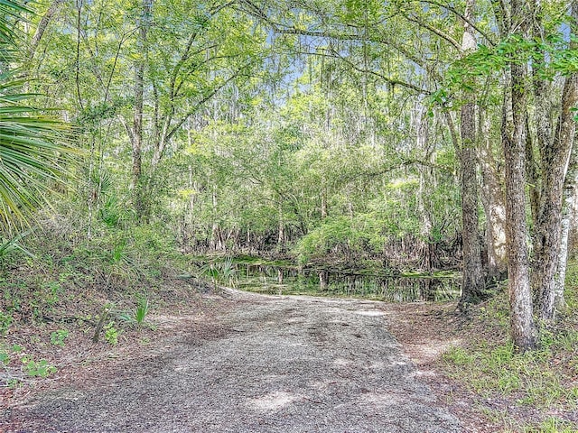 9240 Carolina Way, Fanning Springs, FL 32693 - photo 56
