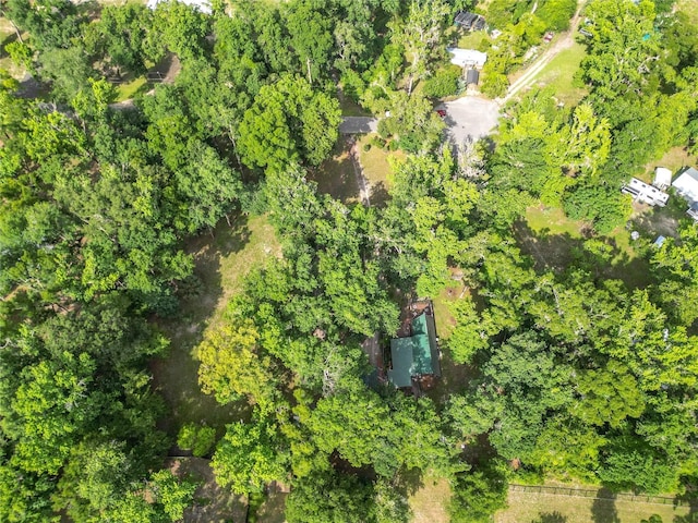 9240 Carolina Way, Fanning Springs, FL 32693 - photo 57
