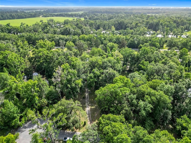 9240 Carolina Way, Fanning Springs, FL 32693 - photo 61