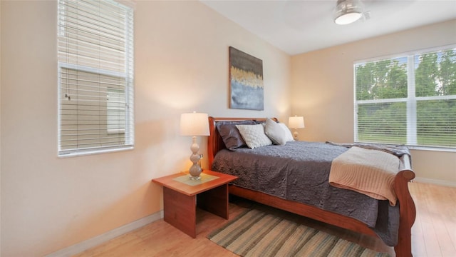 10621 Ribbon Fern Way, Land O Lakes, FL 34638 - photo 15