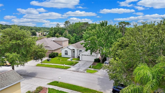10621 Ribbon Fern Way, Land O Lakes, FL 34638 - photo 25