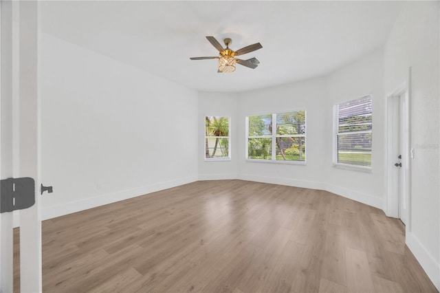 16317 Colwood Dr, Odessa, FL 33556 - photo 28