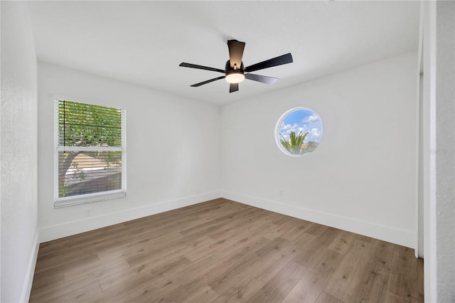 16317 Colwood Dr, Odessa, FL 33556 - photo 36