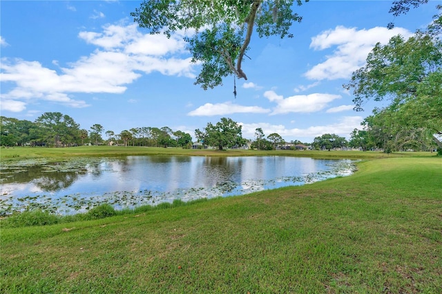 16317 Colwood Dr, Odessa, FL 33556 - photo 61