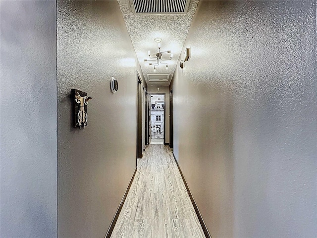11525 Country Oaks Dr, Tampa, FL 33618 - hallway with wood finished floors and a textured ceiling