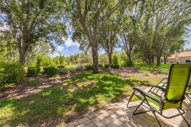 11078 Heathrow Ave, Spring Hill, FL 34609 - view of green lawn featuring a patio