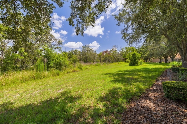 11078 Heathrow Ave, Spring Hill, FL 34609 - view of yard