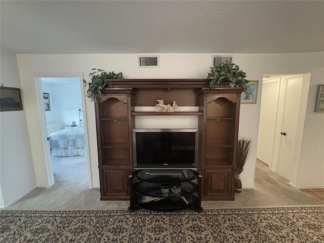 4137 Lake Bayshore Dr Unit C505, Bradenton, FL 34205 - detailed view of carpet flooring and a textured ceiling