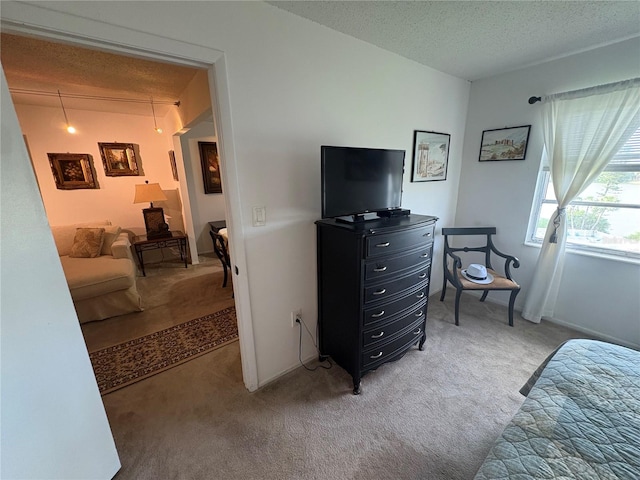 4137 Lake Bayshore Dr Unit C505, Bradenton, FL 34205 - bedroom with light colored carpet and a textured ceiling