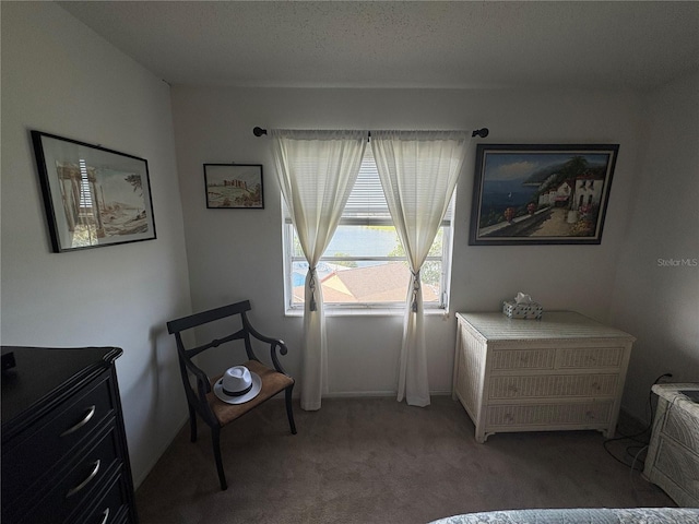 4137 Lake Bayshore Dr Unit C505, Bradenton, FL 34205 - bedroom with light carpet