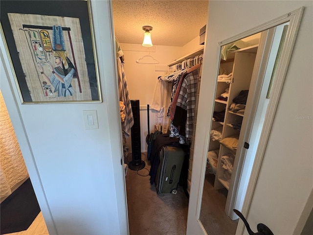 4137 Lake Bayshore Dr Unit C505, Bradenton, FL 34205 - walk in closet with carpet
