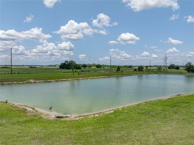 11287 Cay Spruce Way, San Antonio, FL 33576 - photo 46