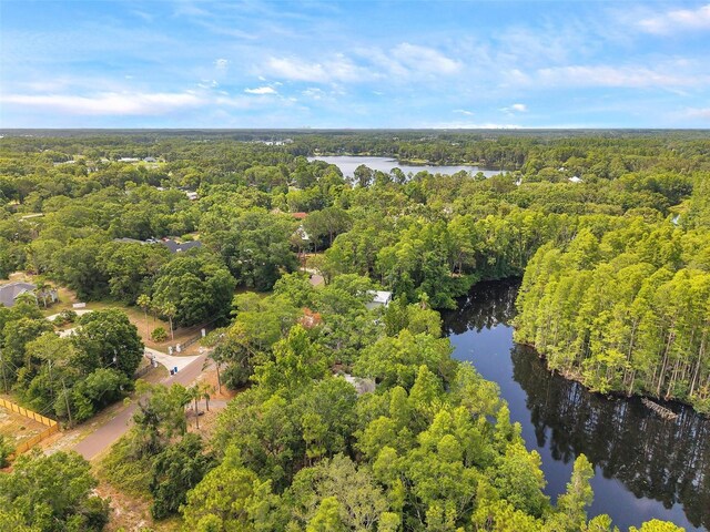 18324 Jorene Rd, Odessa, FL 33556 - photo 28